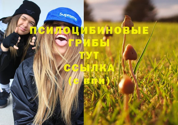 метадон Абаза