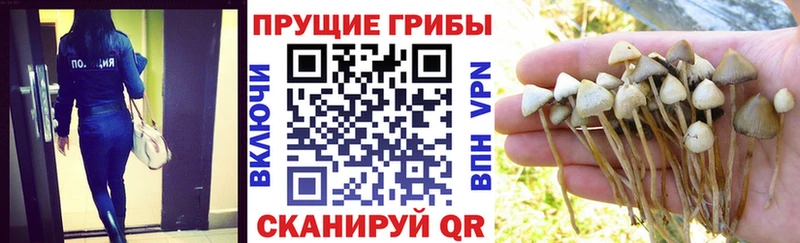 Галлюциногенные грибы мухоморы  где купить наркоту  Соликамск 